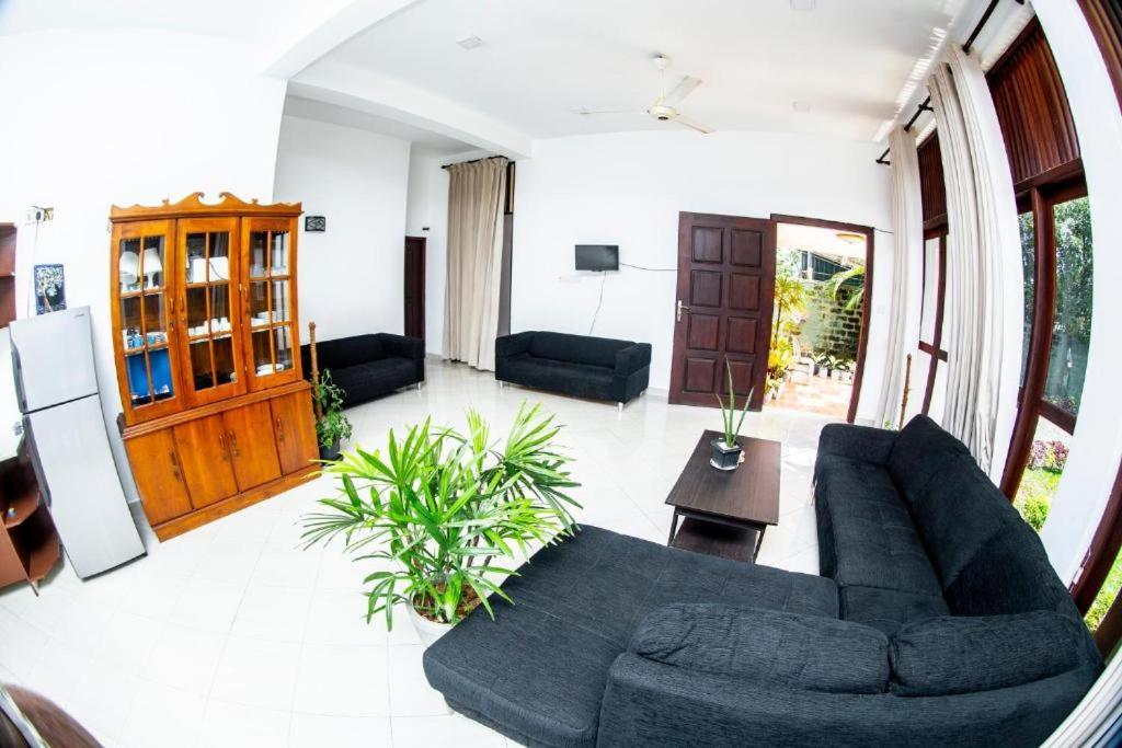 Hotel Blue Bird Negombo Dış mekan fotoğraf
