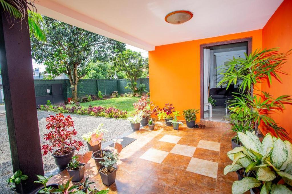 Hotel Blue Bird Negombo Dış mekan fotoğraf