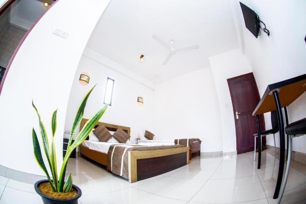 Hotel Blue Bird Negombo Dış mekan fotoğraf